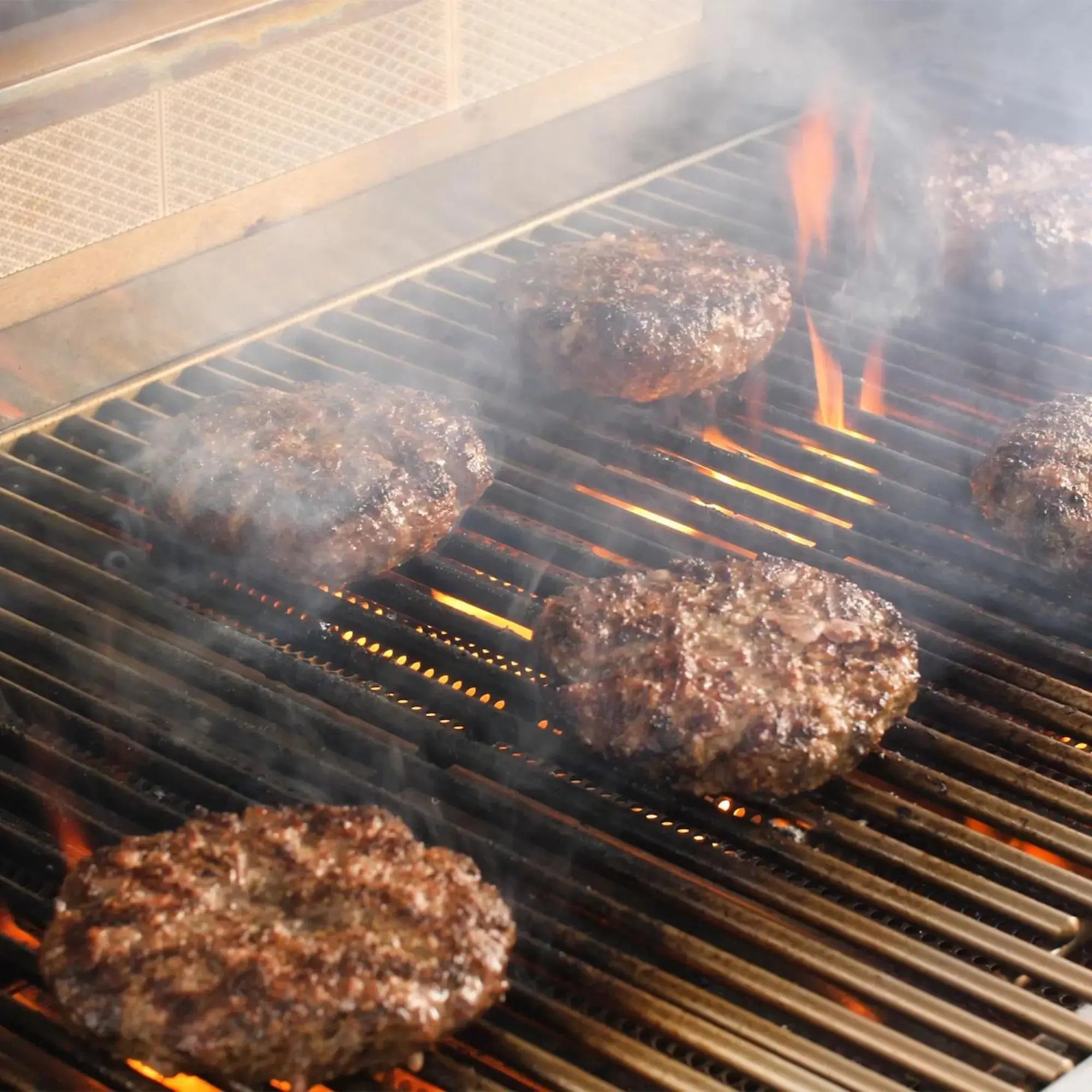 Blaze LTE+ 40-Inch 5-Burner Freestanding Gas Grill with Cart Blaze