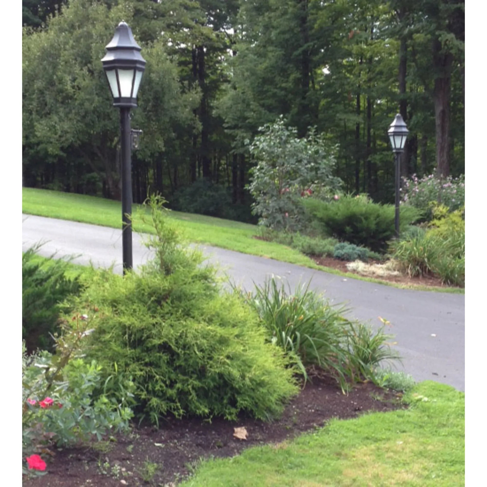 14" Wide Statesboro Street Lamp – Craftsman Brown – Clear Ripple – Wet-Rated – Meyda Lighting
