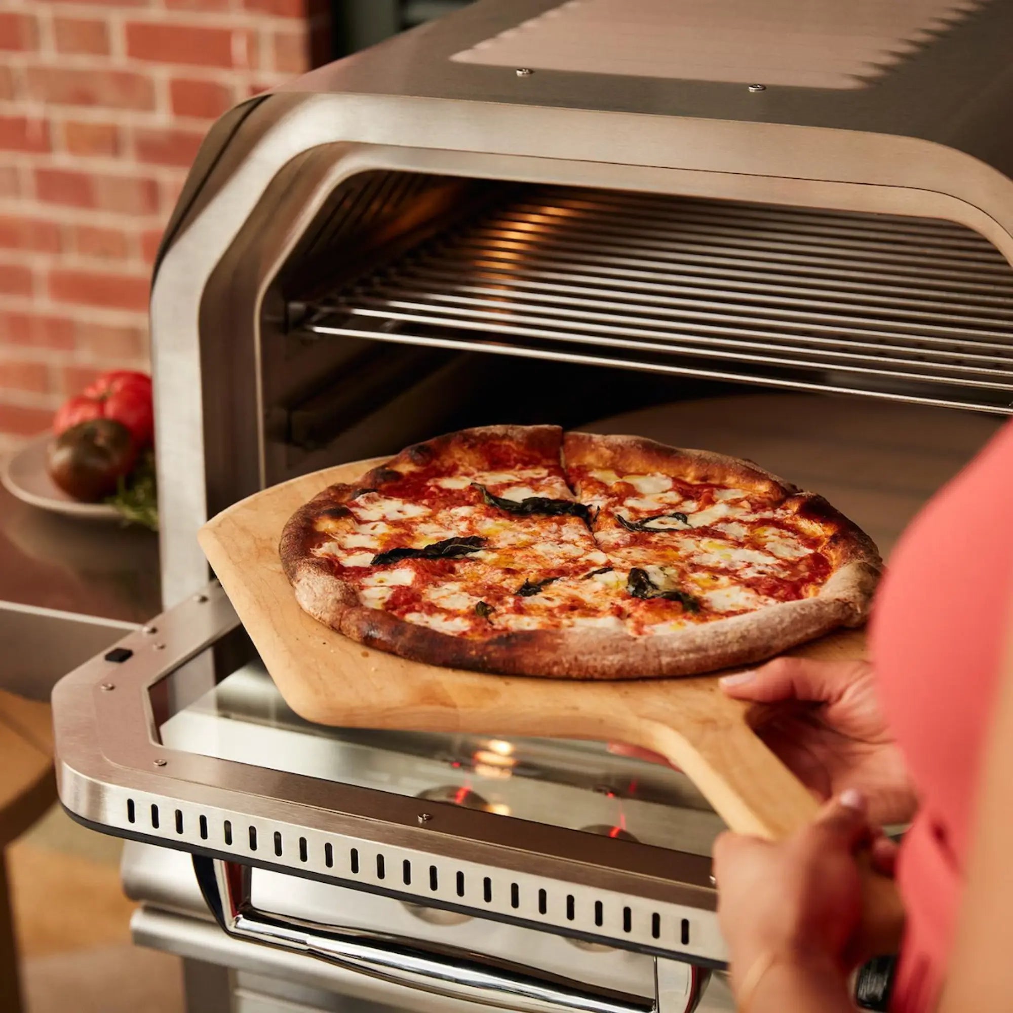 Blaze 26-Inch Outdoor Gas Pizza Oven with Rotisserie Blaze