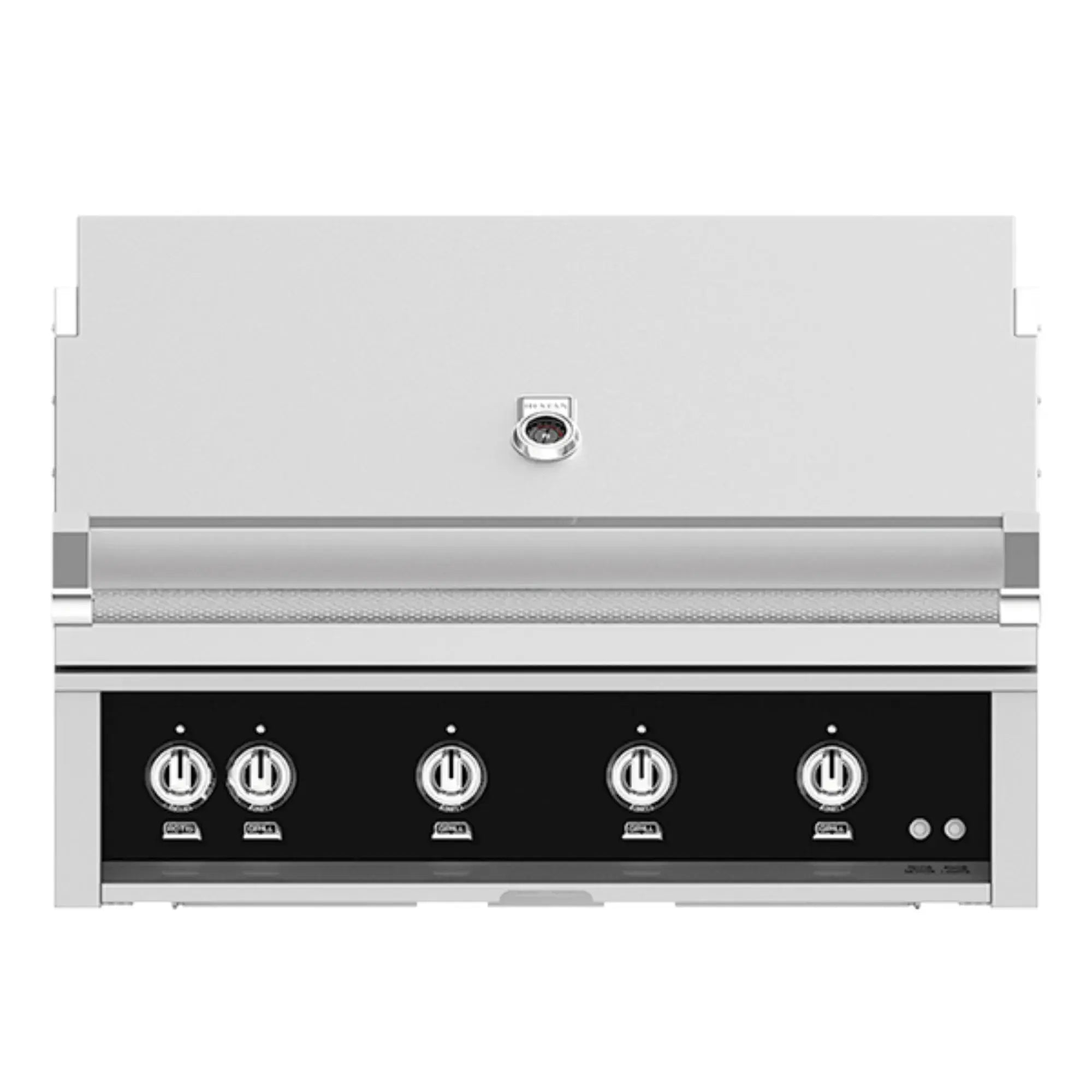 Hestan 42-Inch Built-In Gas Grill with Trellis Burners & Rotisserie – GABR42 Hestan
